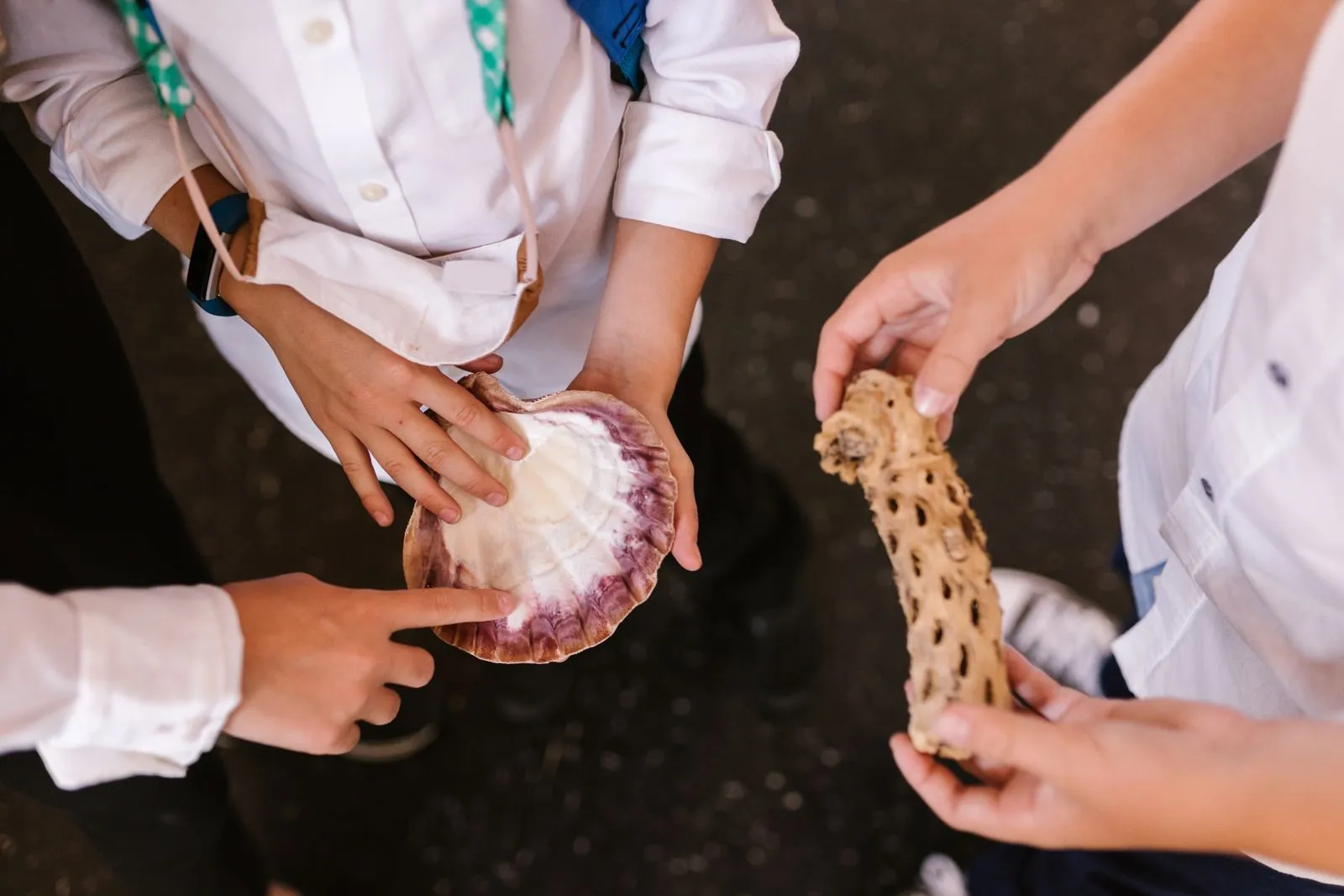 A group of children closely examining seashells and nature items indoors.
