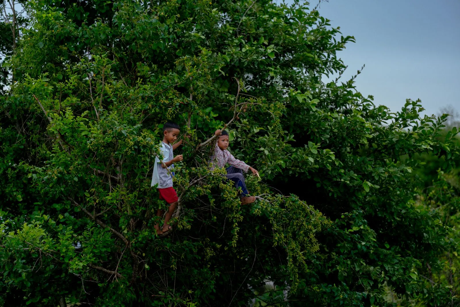 How to Dress Kids for Outdoor Learning